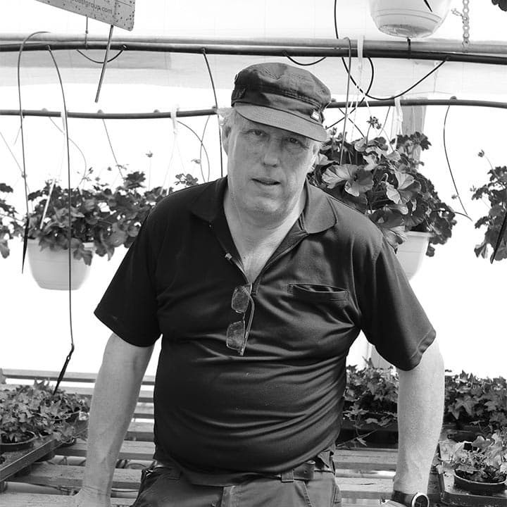 Image of Rönnholms blommor